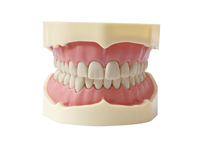 HST-A5-01 TYPE BF STUDY MODEL