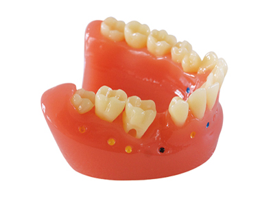 HST-N13 Interdental Brush Model